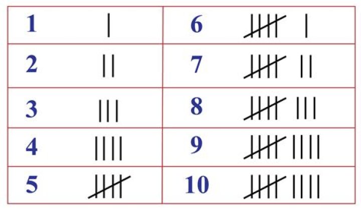 7 tallies