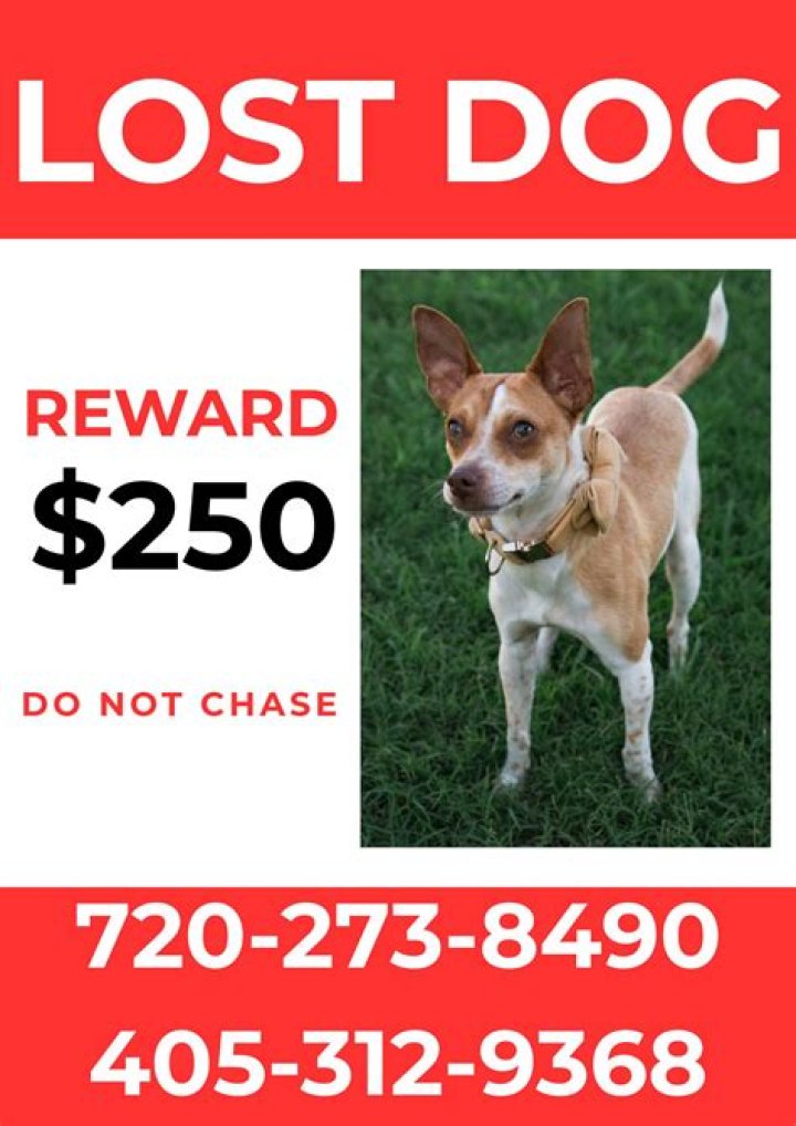 Unlocking The Mystery Behind 720 273 9068