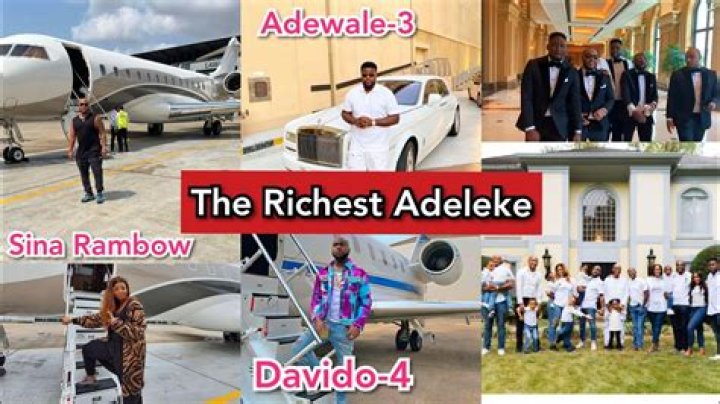 Adeleke Family Net Worth: Unraveling The Wealth Of A Prominent Clan