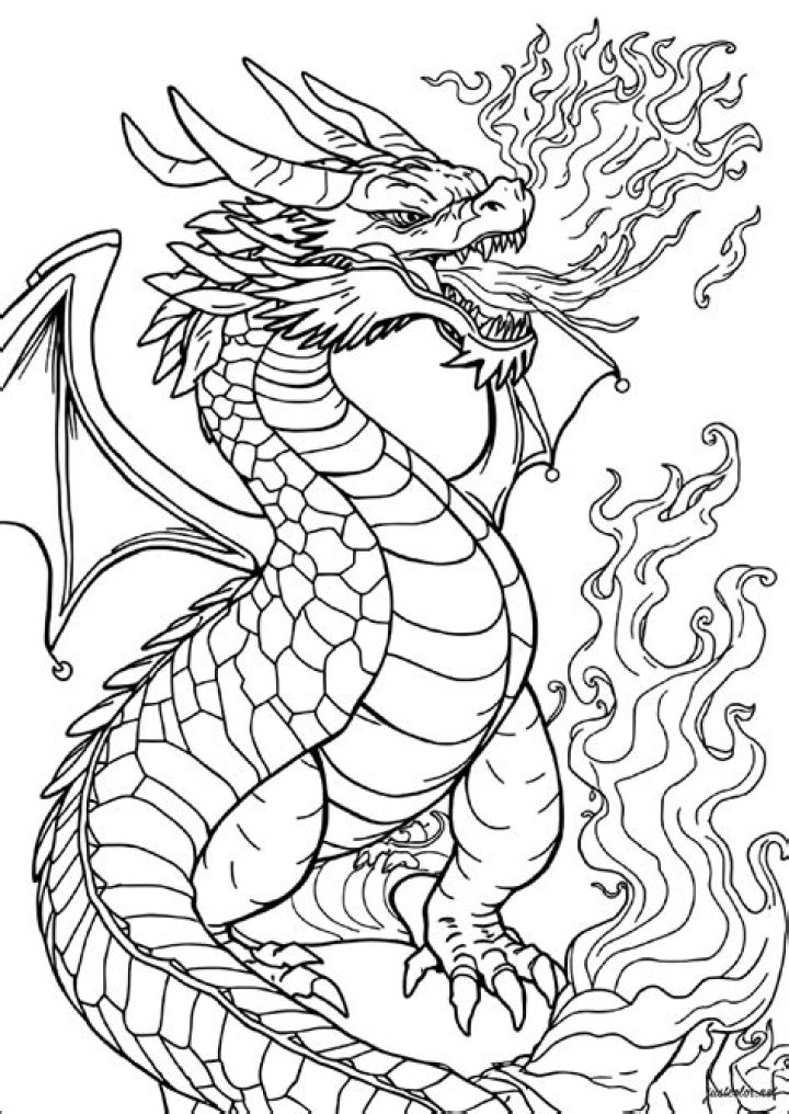 Aleady: A Journey Through Time And Culture