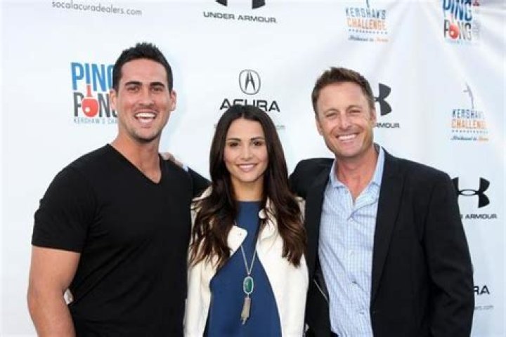 The Inside Scoop: Andi Dorfman And Chris Harrison's Connection Explored