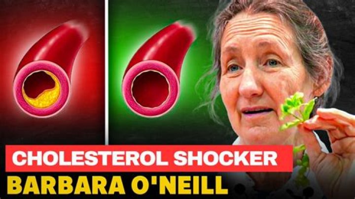 Understanding Barbara O'Neill Cholesterol: A Journey To Better Health