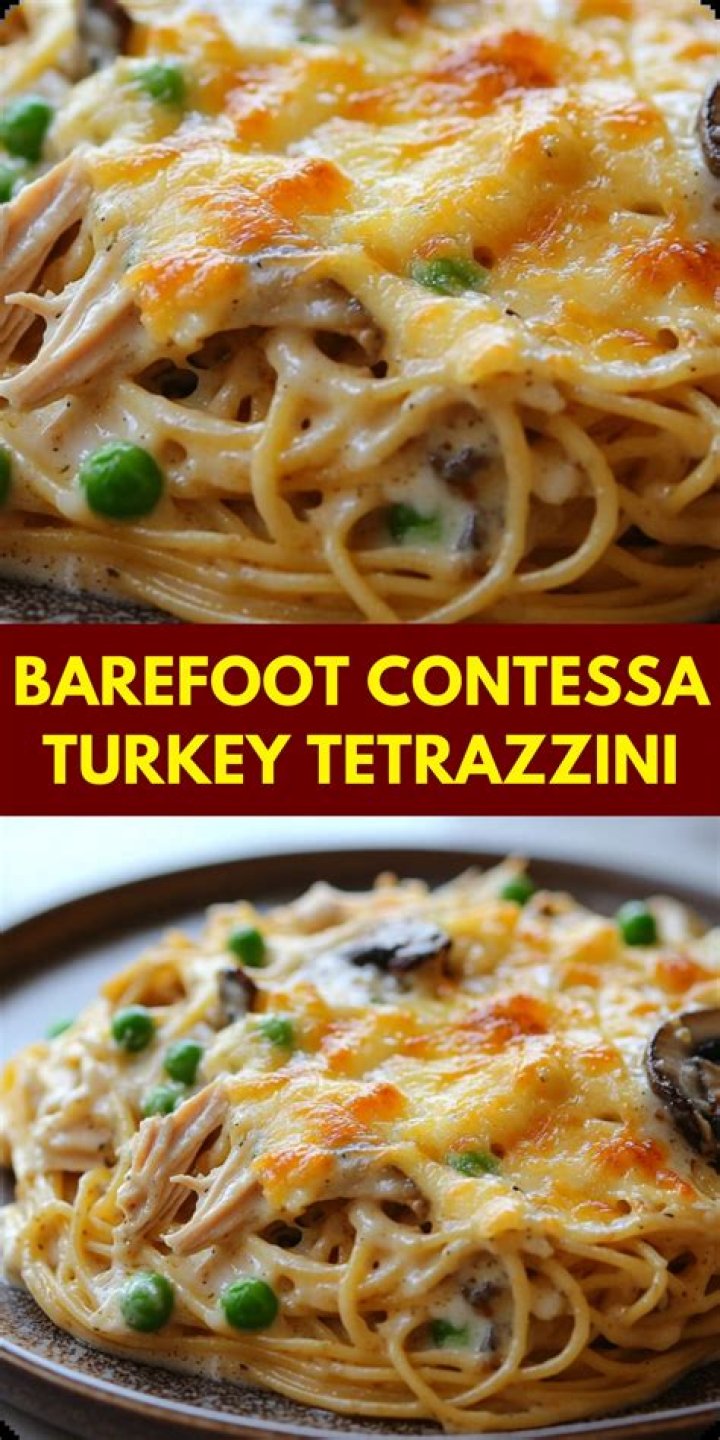 Delicious Barefoot Contessa Leftover Turkey Recipes For Your Next Meal