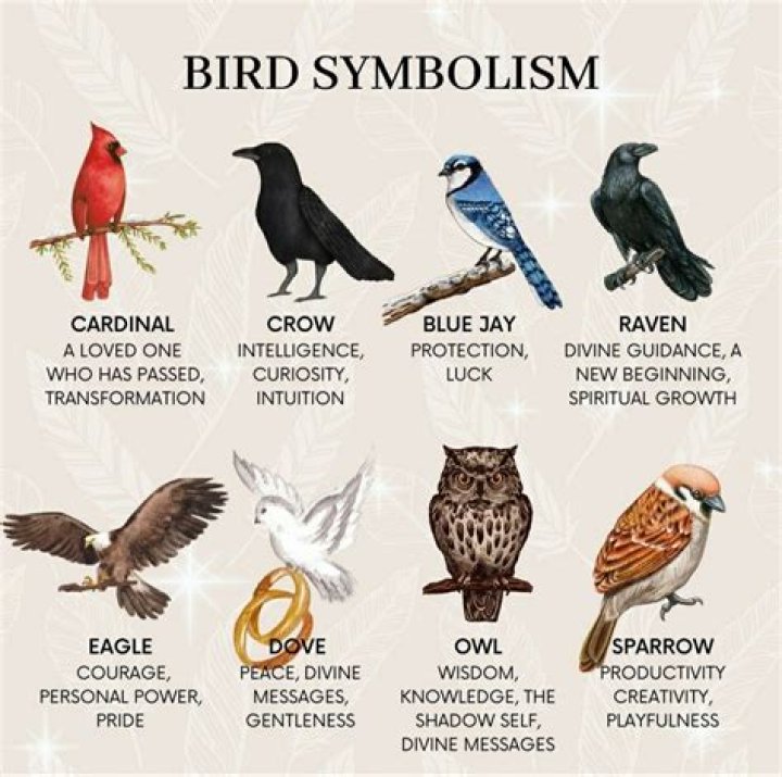 Understanding The Bird That Signifies Death: Cultural Interpretations And Symbolism