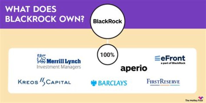 BlackRock's Strategic Move: Buying Ancestry And What It Means For The Future