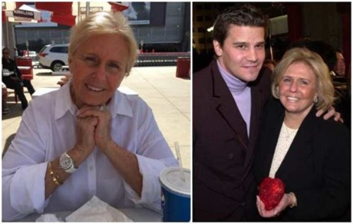 Exploring The Life And Career Of Bo Boreanaz