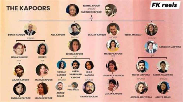 Boney Kapoor's Daughter: Unveiling The Life Of Janhvi Kapoor