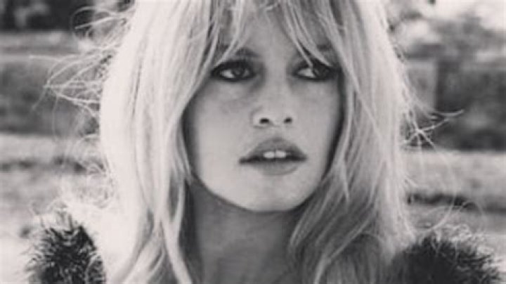 Exploring The Life Of Brigitte Bardot's Son: A Journey Through Fame And Legacy