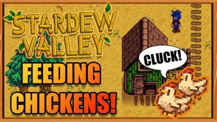 Understanding The Risks Of Chicken Survival In Stardew Valley
