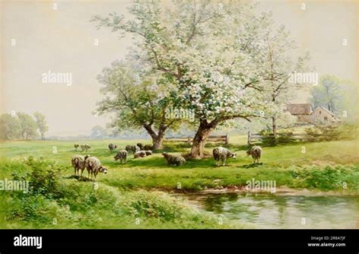 Carl Weber: A Journey Through His Life And Legacy