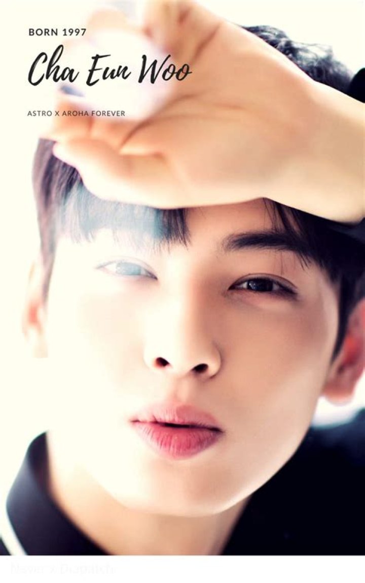 Cha Eun Woo's Departure From ASTRO: What’s Next For The Star?