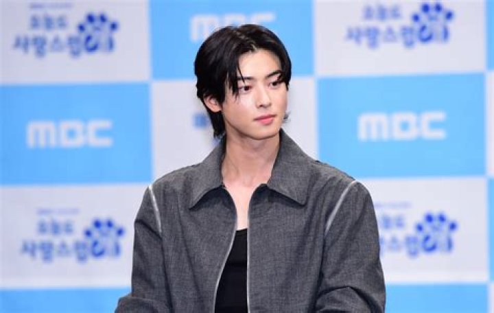 Cha Eun Woo's New Drama: A Deep Dive Into His Latest Role