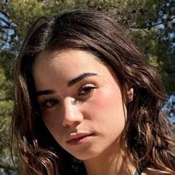 Daisy Blooms Name: The Symbolism And Beauty Of Daisies