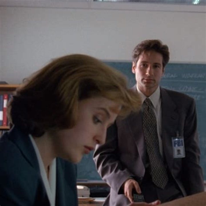 Exploring The Educational Journey Of David Duchovny