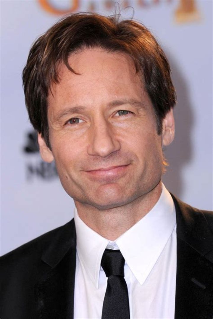 Exploring The Cinematic Journey Of David Duchovny: Movies And TV Shows