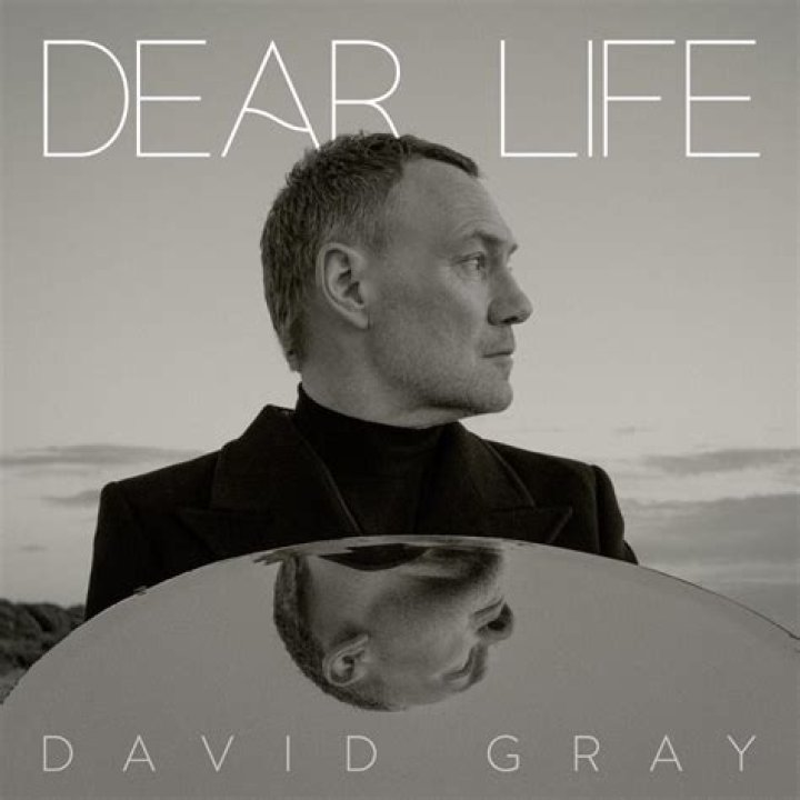 Discover The Enchanting Melodies Of David Gray