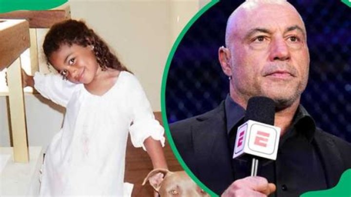 Exploring Joe Rogan's Family Life: Does Joe Rogan Have Kids?