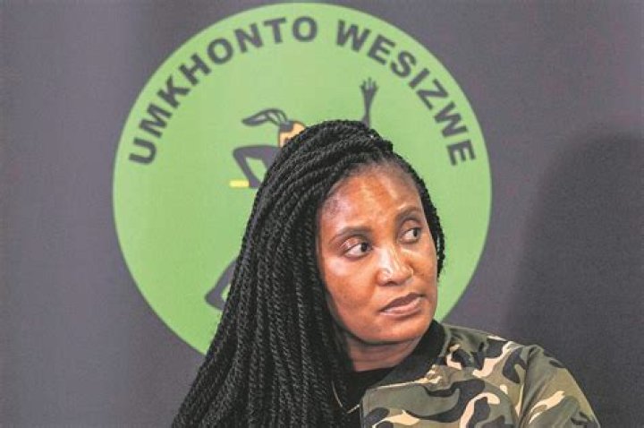 Duduzile Zuma: The Rising Influence In South African Politics