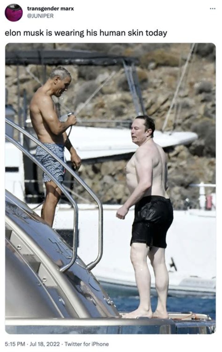 Unveiling The Buzz: Elon Musk 2024 Shirtless