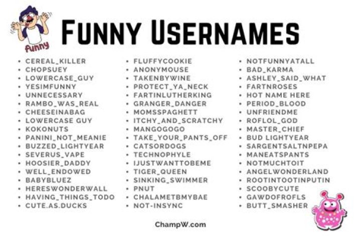 Creative And Quirky Fun User Names For Everyone