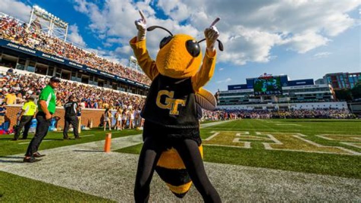 Georgia Tech Yellow Jackets Best of 2023: Haynes King A Star