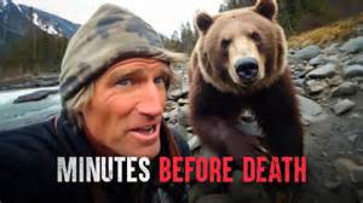 Unveiling The Tragedy: Grizzly Man Death Pictures