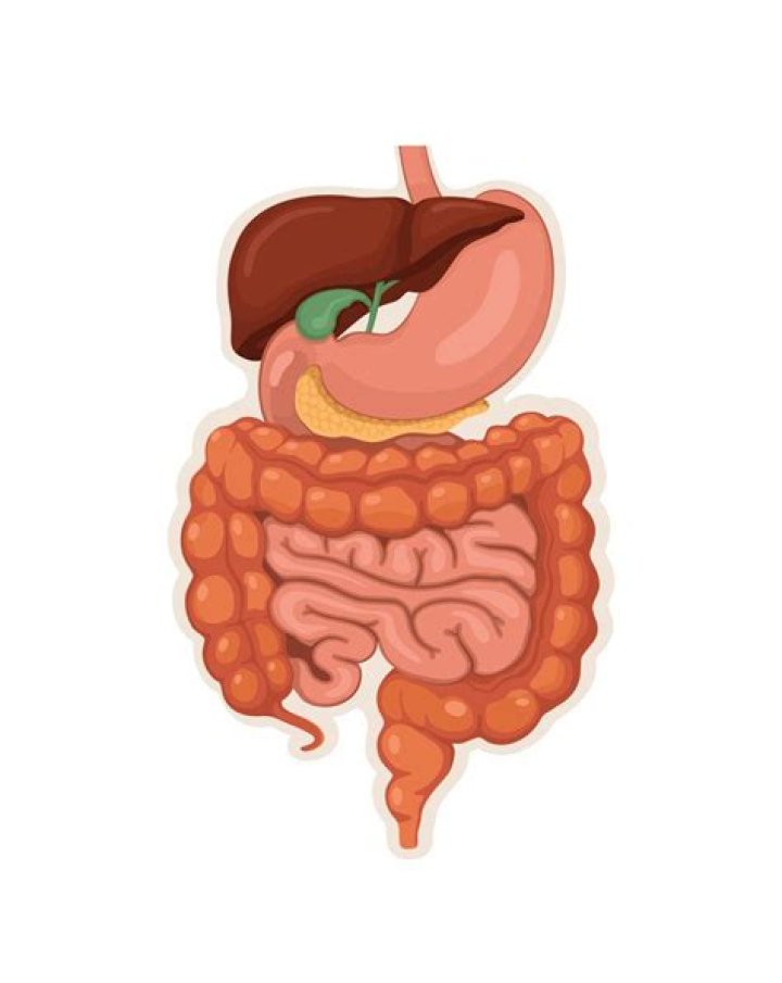 Unveiling The Mysteries Of Habba Syndrome