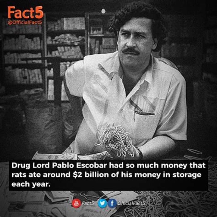 Pablo Escobar: Uncovering His Mammoth Wealth