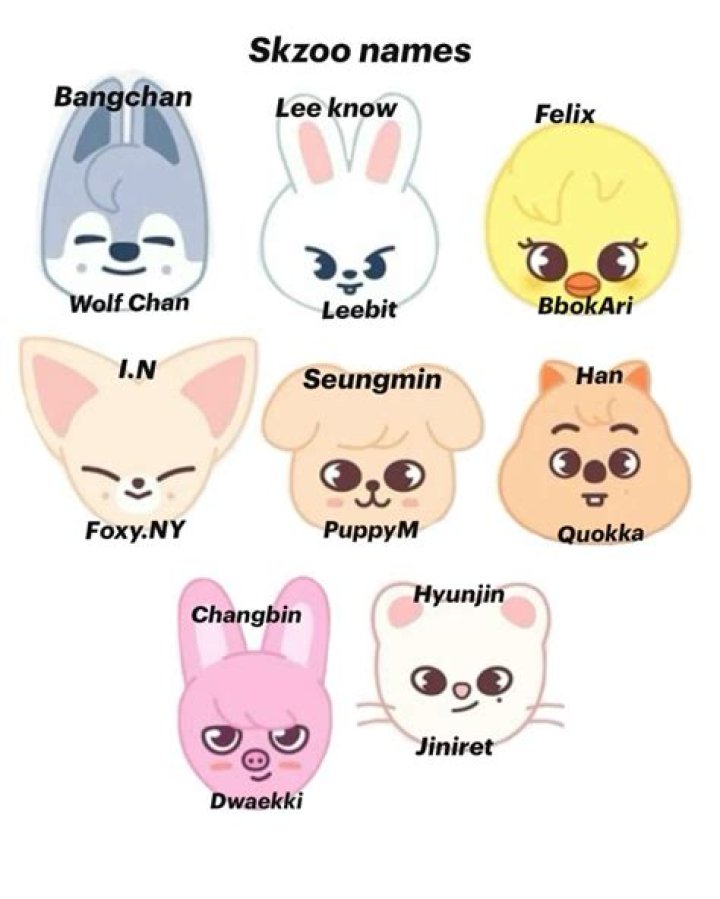 Unraveling The Mystique Of I.N's SKZOO Name