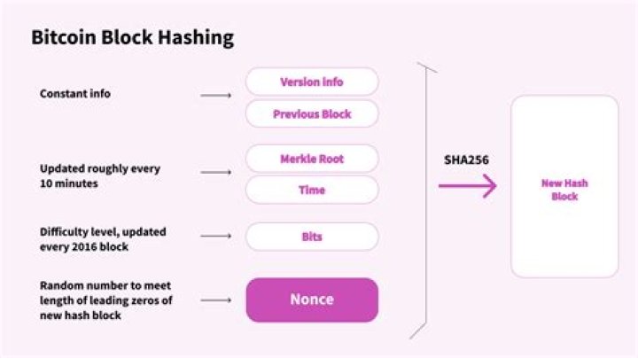 Unraveling The Mystery: Is Mr. Tumble A Nonce In Real Life?