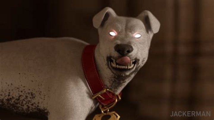 The Ultimate Guide To Jackerman Videos: Discover The Best And Latest