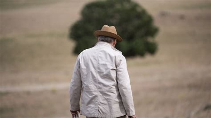 Unveiling James Spader's Political Views: A Deep Dive