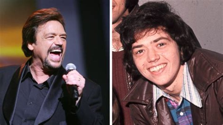 Unveiling The Journey Of Jay Osmond: A Multifaceted Talent