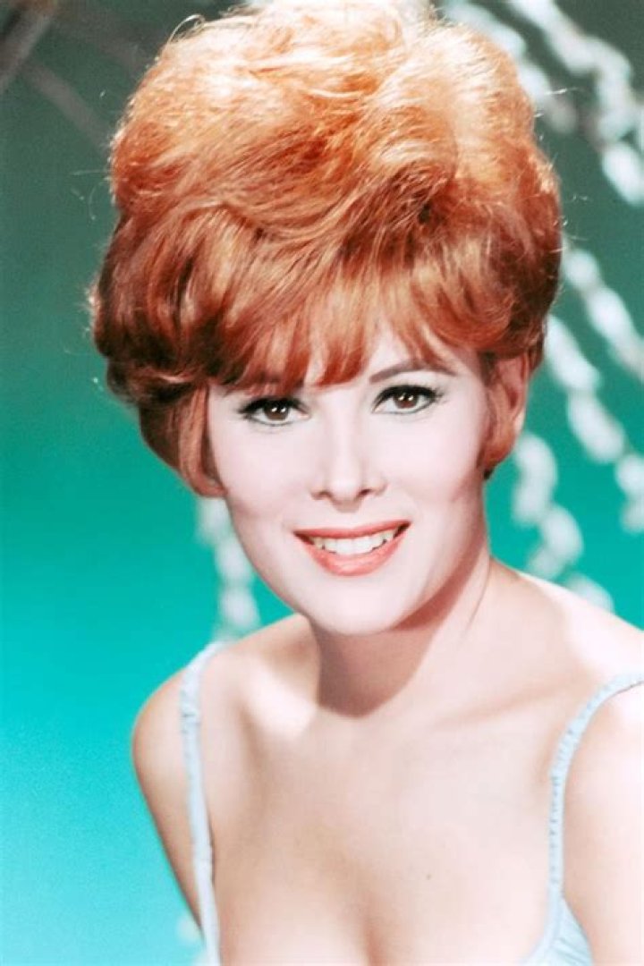 Exploring The Life And Career Of Jill St. John