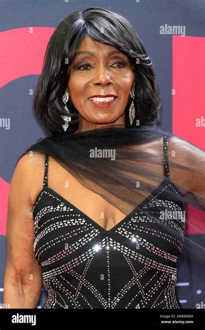 Unveiling The Life And Career Of Judy Pace: A Journey Through Time