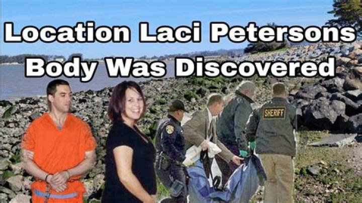Unraveling The Mystery Of Laci Peterson: The Body Pics And More