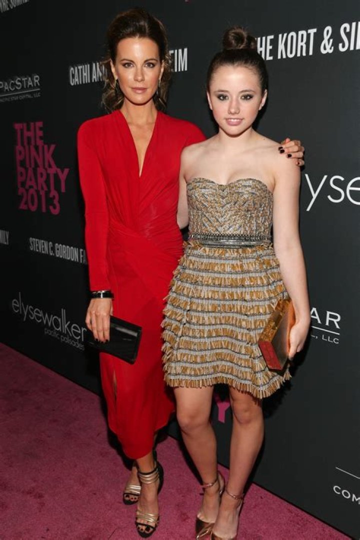 Lily Mo: Your Destination For Floral Inspiration