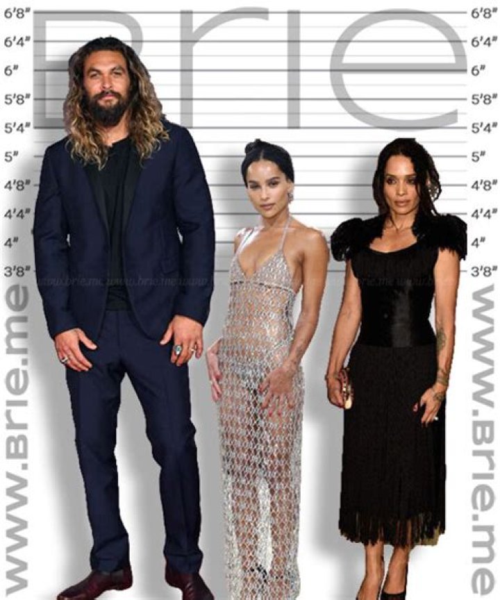 Exploring The Enigmatic Lisa Bonet: Height And Weight Insights