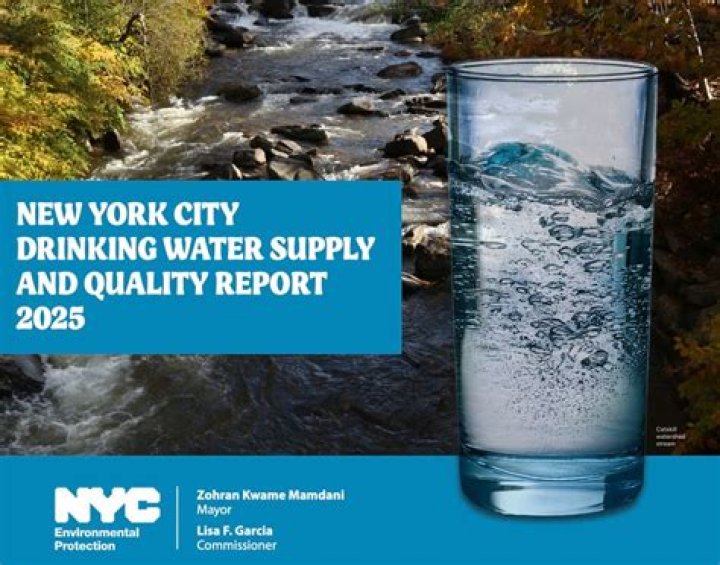 Lisa Garcia: A Journey Through Passion And Resilience