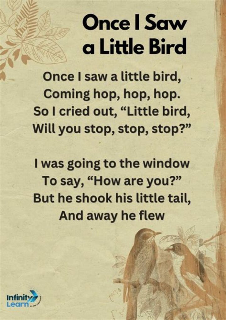 Uncover The Meaning Behind Little Bird Lyrics