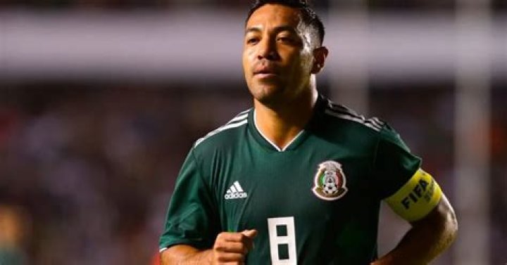 Marco Fabin's Net Worth Revealed: Unveiling The Fortune