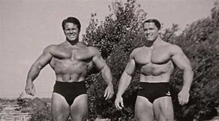 Unveiling The Life Of Meinhard Schwarzenegger: The Man Behind The Legend