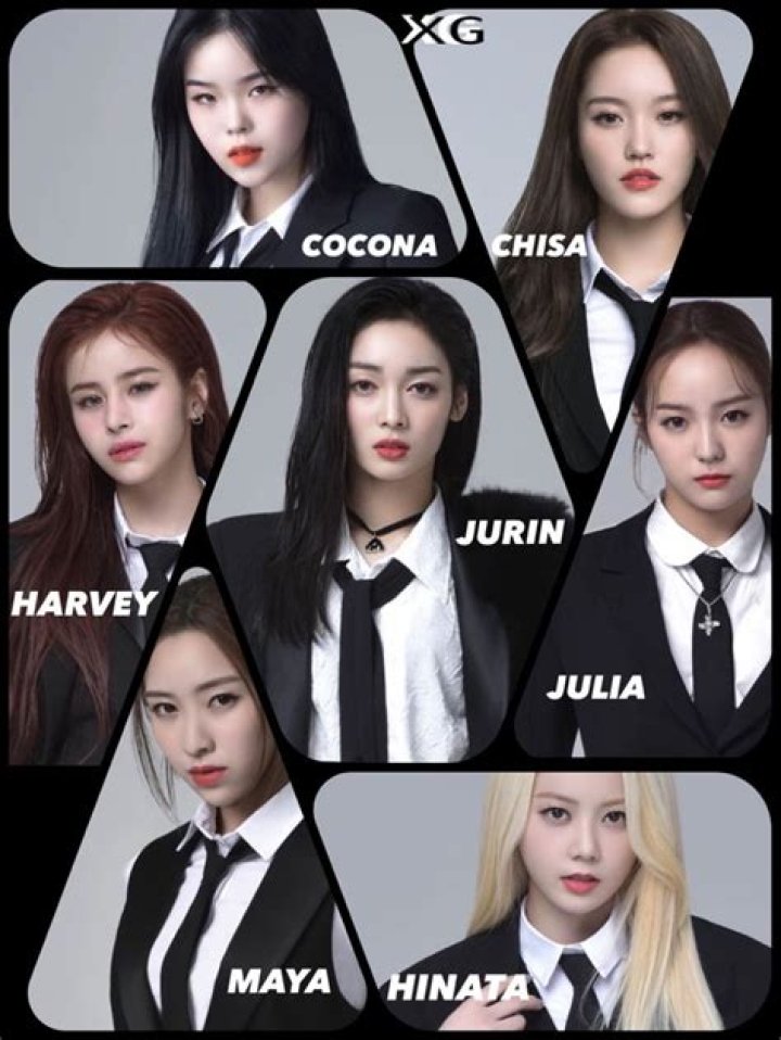 Expert Guide To Member XG: Unlocking Success In Entertainment