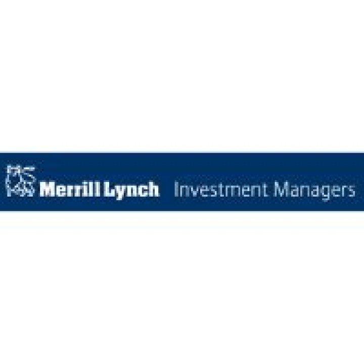 Merrill Lynch Investment Managers: A Comprehensive Overview