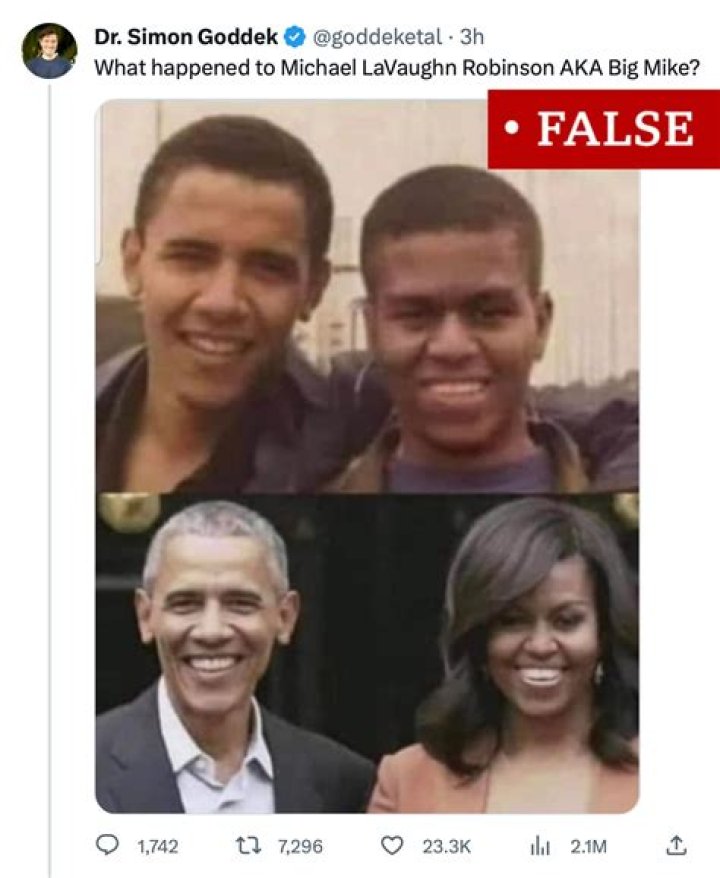 Unraveling The Connection Between Mike Robinson And Michelle Obama