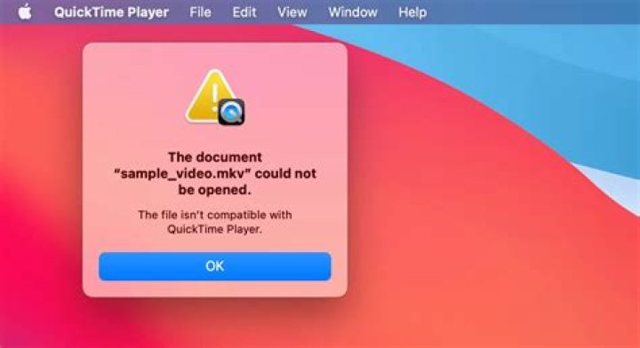 Discovering The Magic Of MK Movi Point