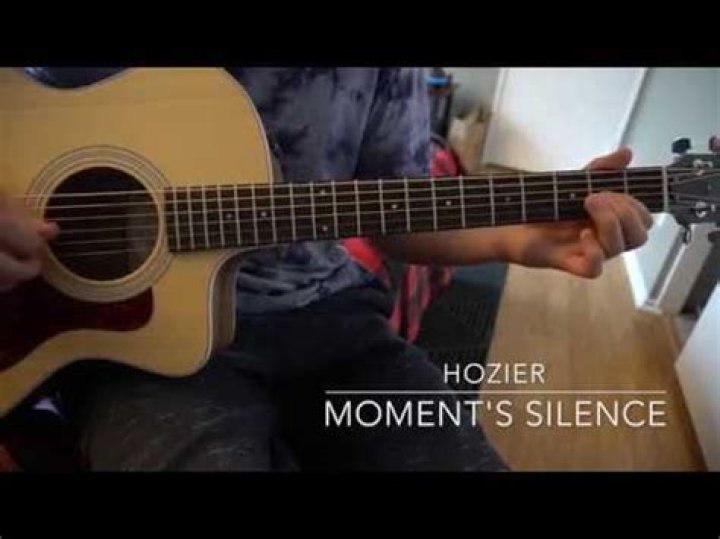 Unveiling The Profound Meaning Behind Hozier's "Moment's Silence"