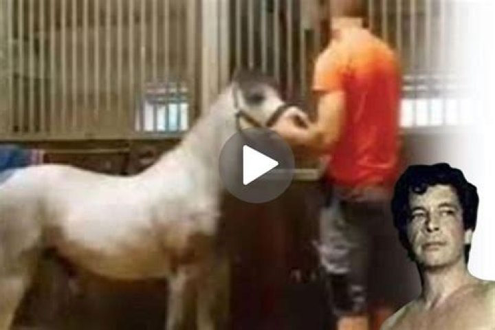 Unveiling The Enigma Of Mrs. Hands: A Multifaceted Personality