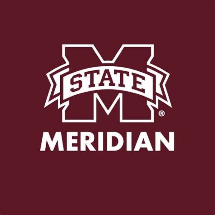 Discover MSU Meridian: A Comprehensive Guide To Education And Excellence