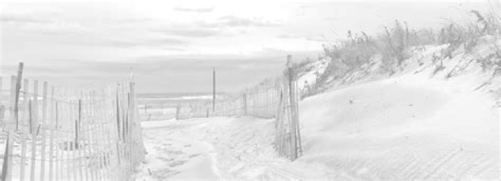 Natalie Portman: A Deep Dive Into Her Net Worth